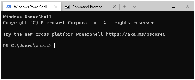 PowerShell and Command Prompt tabs in Windows Terminal.