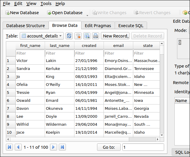 Database records in DB Browser for SQLite