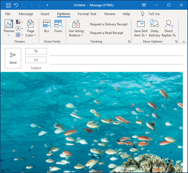 An Outlook email with an underwater image of tropical fish as the background.
