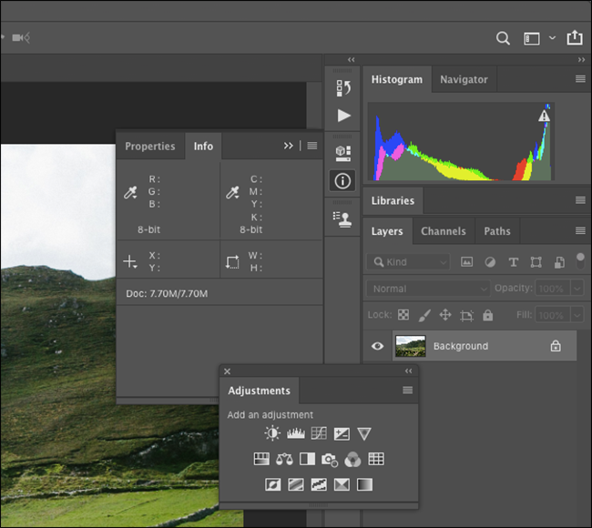 The Info, Histogram, and Adjustments panels.