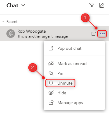 The Unmute menu option for a chat.