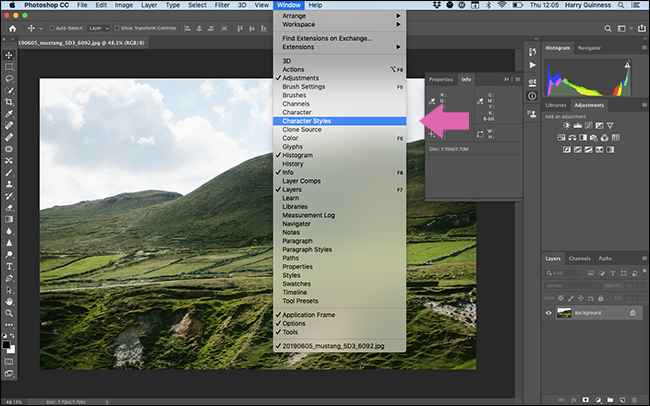 The Window menu in Photoshop.