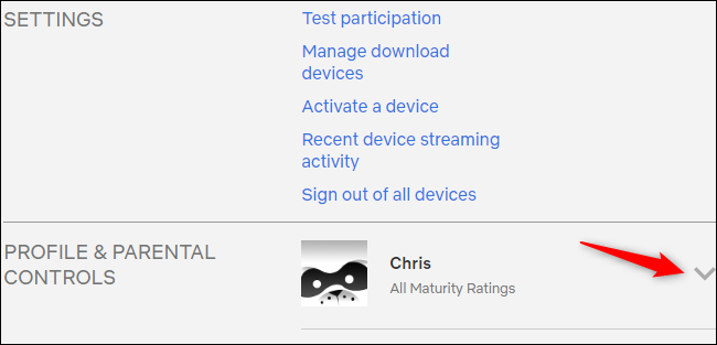 Viewing profile options on Netflix