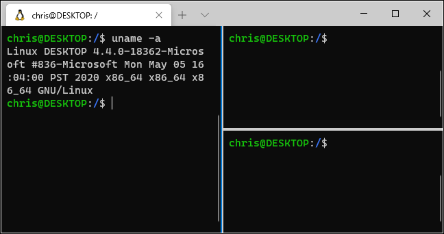 Using split panes in the Windows Terminal