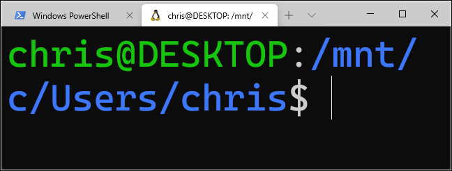 Zoomed in text in the Windows Terminal.