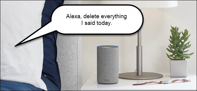 Amazon echo with speech bubble saying Alexa delete everything I said today.