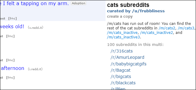 Cats Multireddit Reddit