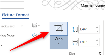 Crop icon in Word's ribbon