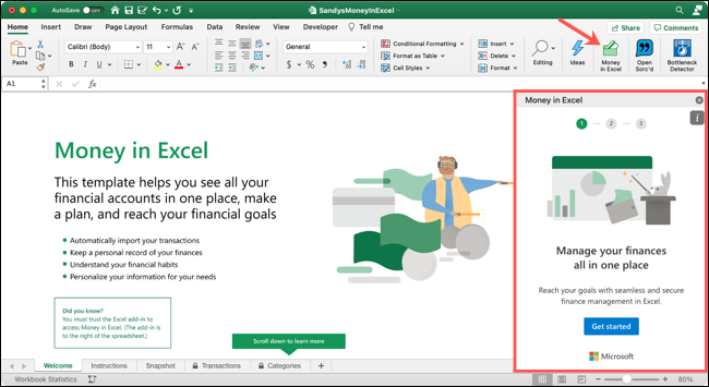 Click Money in Excel to display the pane