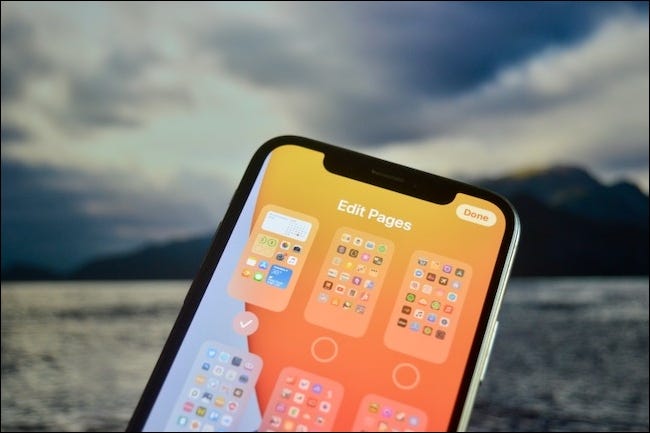 The Edit Pages menu on iOS 14.