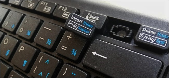 An Insert key popped off a keyboard. 