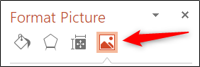 Click the Image icon in the Format Picture pane.