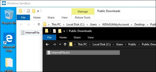 Windows Sandbox Explorer and Host system Explorer showing a shared file