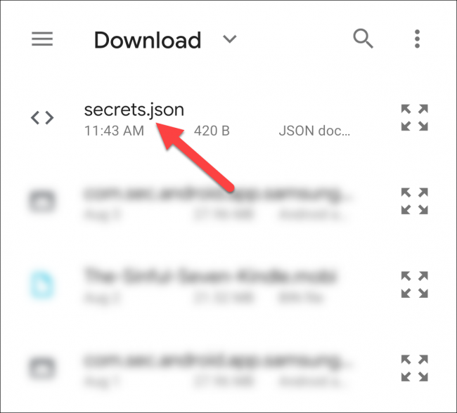 Select secrets.json in the Download folder.