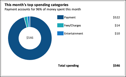Top Spending Categories pie chart