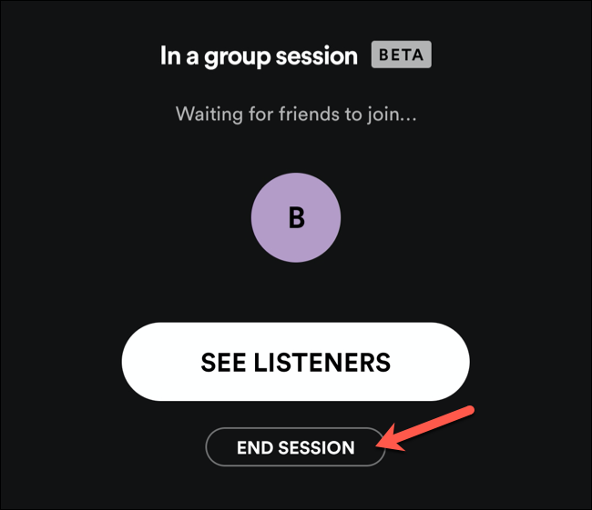 Tap End Session to end a Spotify group session.