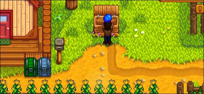 A character loading a blueberry shipping box in Stardew Valley.