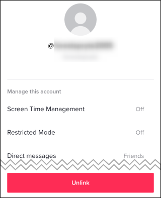 The TikTok Family Pairing menu.