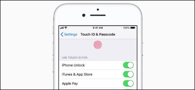 The Touch ID & Passcode menu on an iPhone.