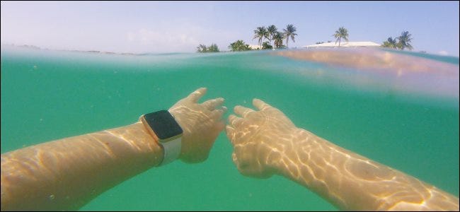 A man wearing an Apple Watch while swimming underwater in the ocean.