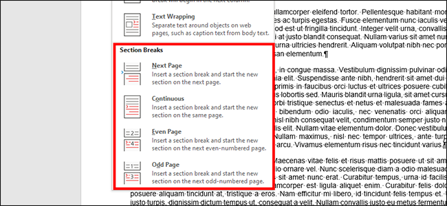 choose new section break