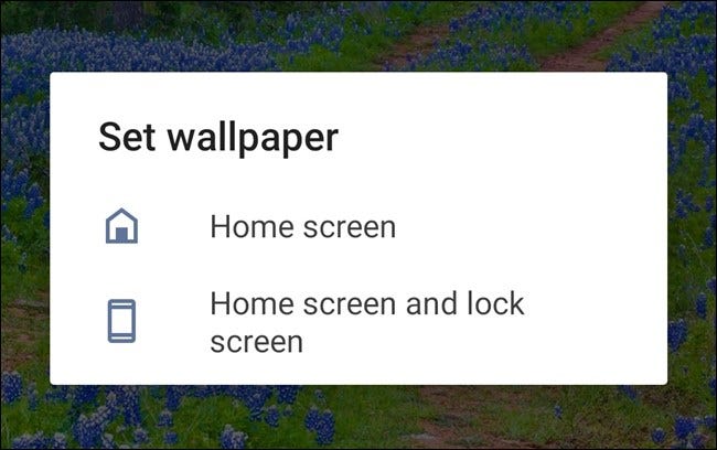 Choose to set the wallpaper on the home screen or also on the lock screen.