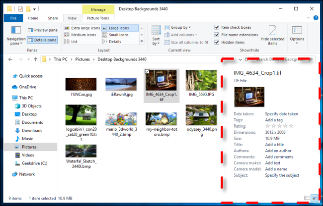 Example of Details Pane in Windows 10 File Explorer