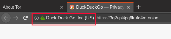 green onion logo in the Tor browser address bar