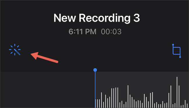 Tap Enhanced Recording on iPhone Voice Memos