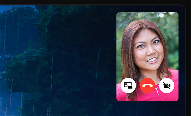 FaceTime Picture in Picture controls on iPad