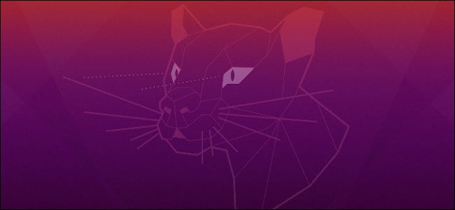 Ubuntu's Focal Fossa logo from its desktop background.