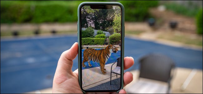 A hand holding a phone with a tiger on the screen.