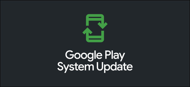The Google Play System Update logo.