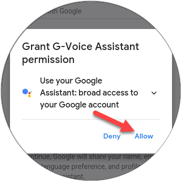 Tap Allow to grant the app permission to use Google Assistant.
