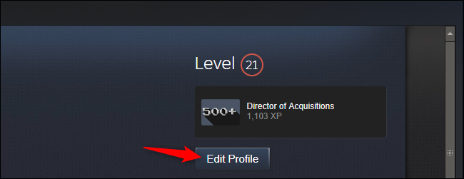 Editing your profile in Steam
