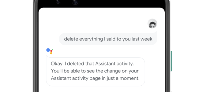 Deleting what you said to Google Assistant via voice.
