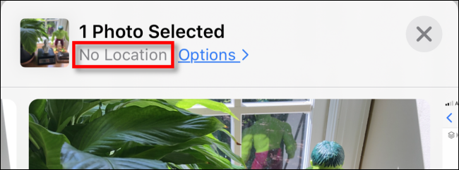 The No Location label in the Camera app.