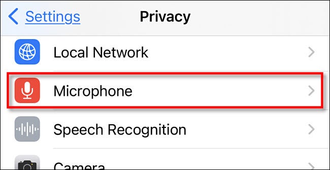 In Privacy settings, tap Microphone.