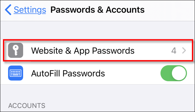 Tap Website & App Passwords in Settings on iPhone
