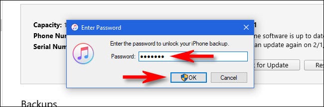In iTunes, enter a password and click OK.