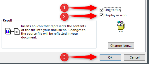 link to file, display icon, and insert pdf options