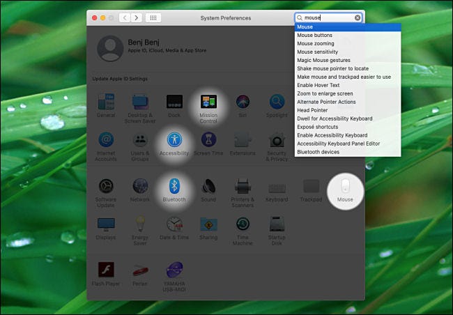 System Preferences Search Results on Mac