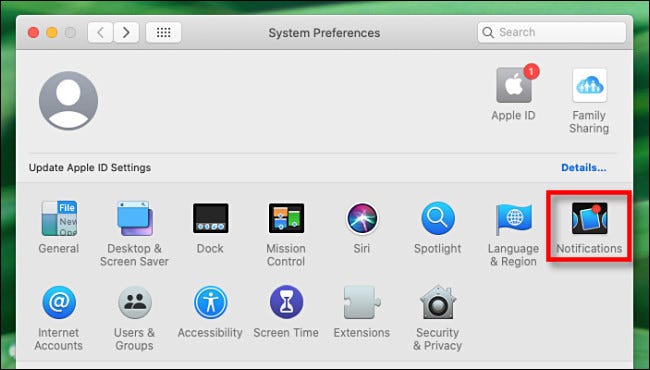 In System Preferences on Mac, Select Notifications.