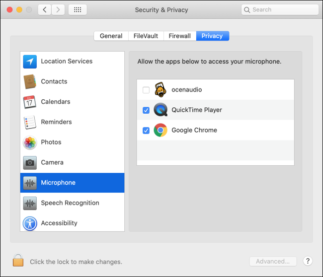 The Microphone menu under the Privacy tab.