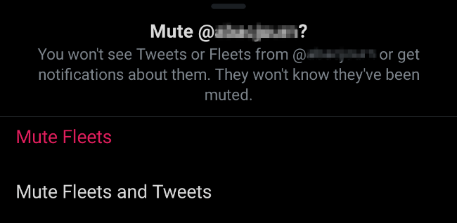 Mute Fleets and tweets on Twitter