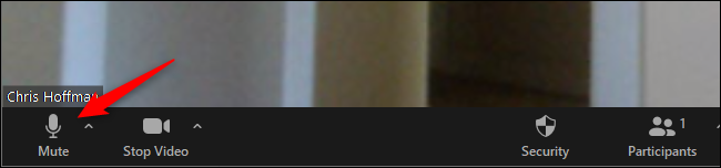 Click Mute on Zoom's bottom toolbar