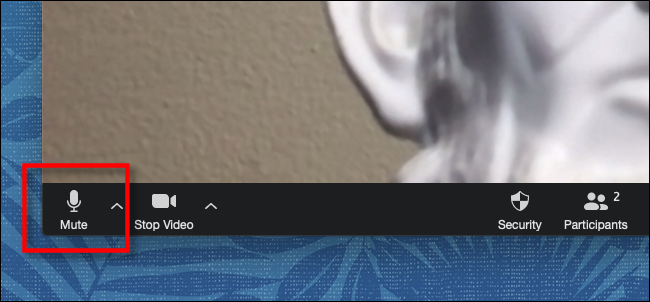 Click or tap Mute on the toolbar in Zoom