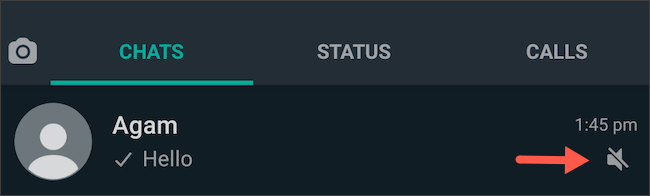 Muted chat icon on WhatsApp