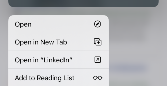The context menu that appears when long-pressing a link in Safari.