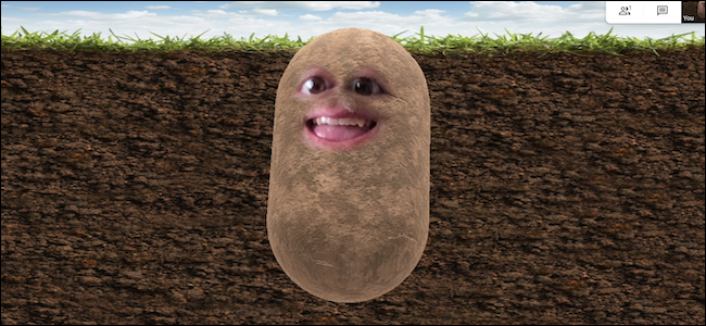 Potato Filter